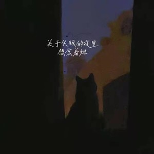 关于失眠的夜里想念着她