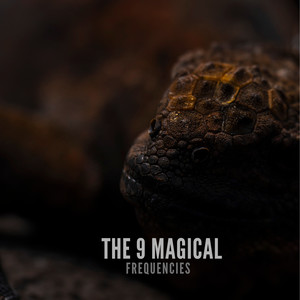 963hz Harmonize the Body and Mind