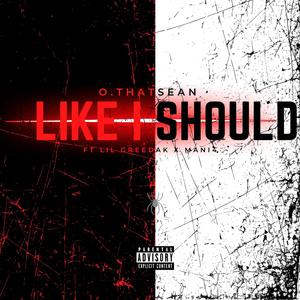 Like I Should (Explicit)