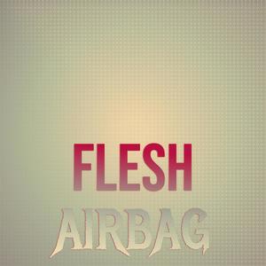 Flesh Airbag