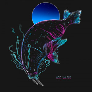 Acid Walrus