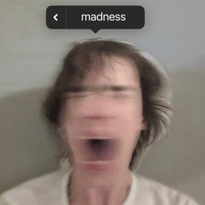 Madness (Explicit)