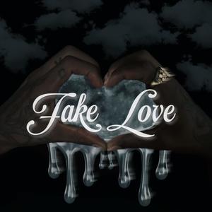 Fake Love (Radio Edit)