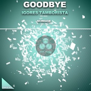 Goodbye (Ncrease Dub Mix)