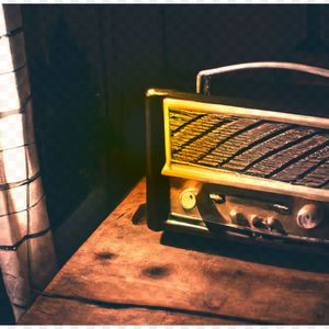 Velvet Threads of Harmony