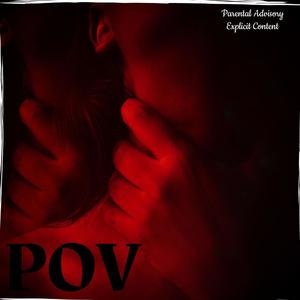 POV (Explicit)