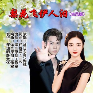 梨花飞伊人泪 (古风版)