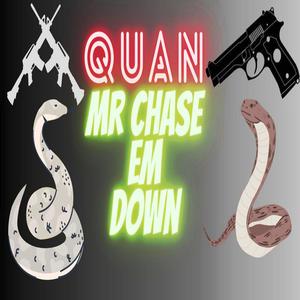 Mr. Chase Em Down (feat. Quan) [Explicit]