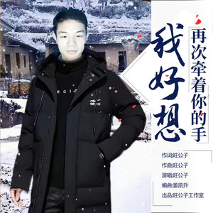 我好想再次牵着你的手 (伴奏)