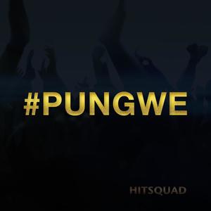 Pungwe(feat. King Hambahamba & Panashe)