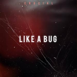 Like a Bug (Explicit)
