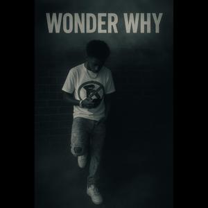 Wonder why (Explicit)