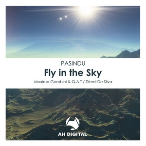 Fly in the Sky (Maximo Gambini & Q.A.T Remix)