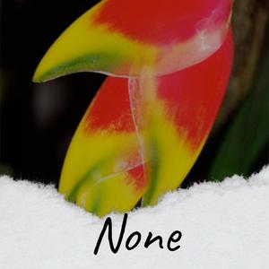 None