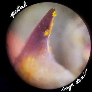 William Eyelash (feat. Cmd.Prompt)