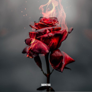 End of time (Radio Edit)