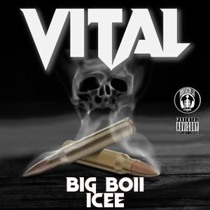 Vital (feat. Icee) [Explicit]