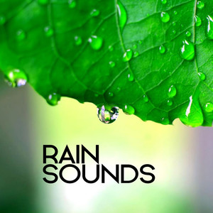 Gentle Afternoon Rain (Original Mix)