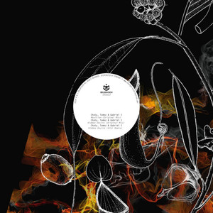 Hidden Desire (Kiki Remix)