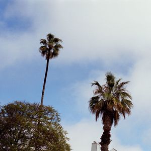 imperfect man (Explicit)