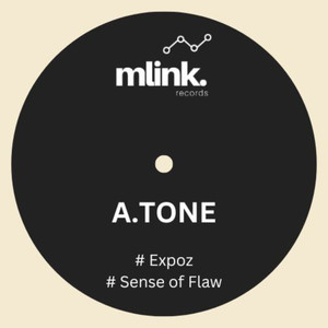Sense Of Flaw (Original Mix)