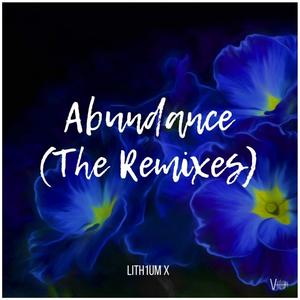 Abundance (The Remixes)