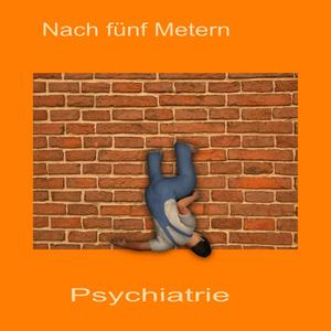 Nach 5 Metern Psychiatrie (Explicit)