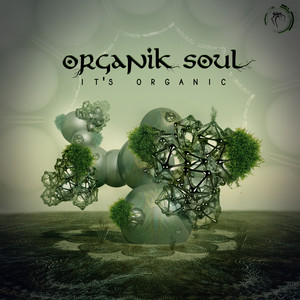 Hooting (Original Mix)