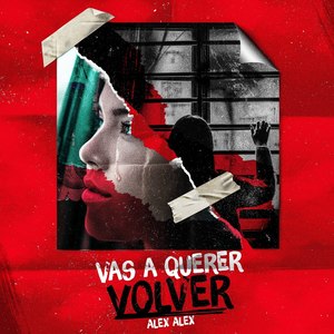 Vas a Querer Volver