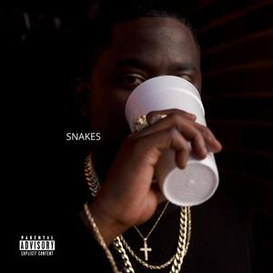 SNAKES (Explicit)