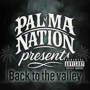 Back To The Valley (Explicit)