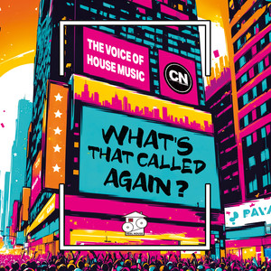What's That Called Again? (RC Vox Mix)