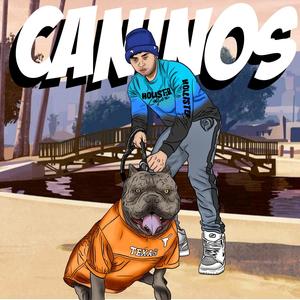 Caninos (Explicit)