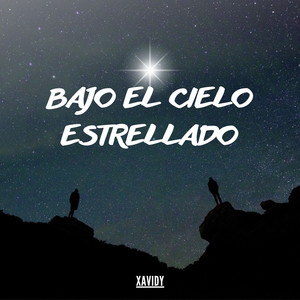 Bajo el Cielo Estrellado (Single)