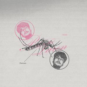 ZANZARE (Explicit)