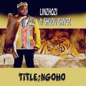 Ngoho (feat. Shudu bangs) (Explicit)