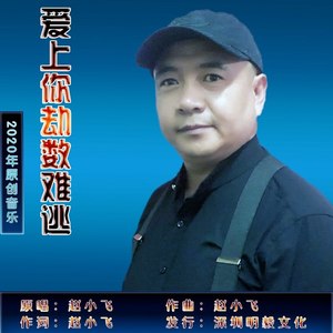 爱上你劫数难逃封面