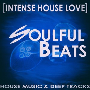 Soulful Beats [Intense House Love]