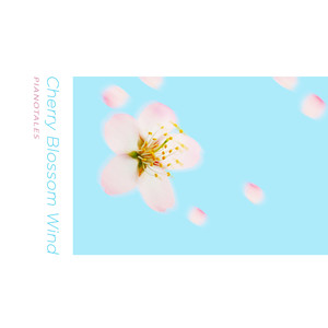 Cherry Blossom Wind