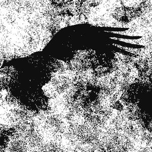 rising up from ashes