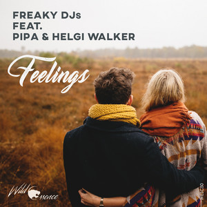 Feelings (Original Mix)