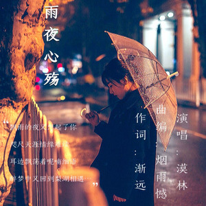 雨夜心殇