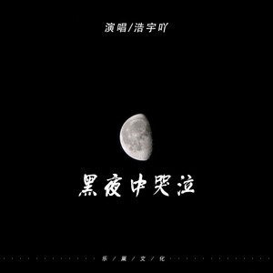 黑夜中哭泣