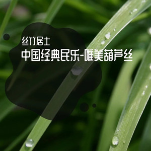 知音 (唯美葫芦丝)封面