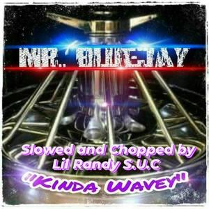 Kinda Wavey (feat. Lil Randy S.U.C) [S.U.C Remix] [Explicit]