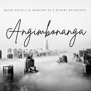 Angimbonanga (feat. Nthaby Melodious & Dj Mankind SA)