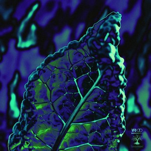 Kylie's Lost In Tokyo