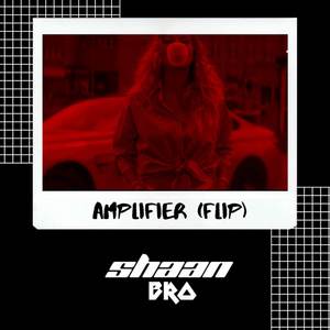 Amplifier (Flip)