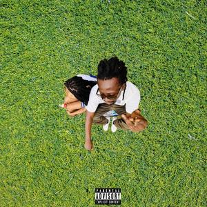 Yes or No (Explicit)