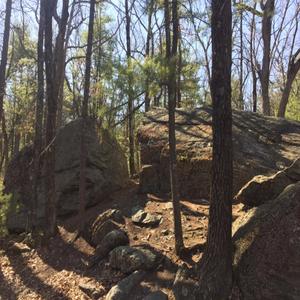 sunny day (Explicit)